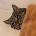 whispersandghosts avatar