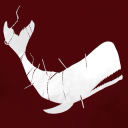 white-whaale avatar