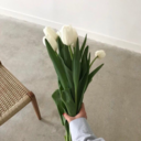 whiterosesandfinerthings avatar