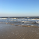 whitetiegirl55 avatar