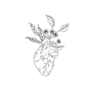 wholeheartedwords avatar