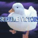 wholesomeduck avatar