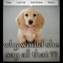 wholives-whodies-whotellstory avatar