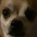 whostolemypuddingcup avatar