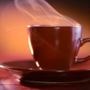 whumpingmydarlings avatar