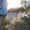 why-cant-i-hate-you avatar