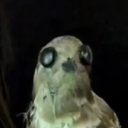 why-couldnt-you-be-the-light avatar