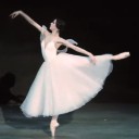 whyamihererlly avatar