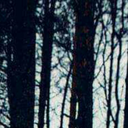 whyy-are-you-my-clariity avatar