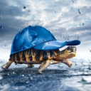 wiblywoblydean avatar