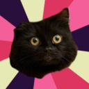 wiccancatmeme avatar