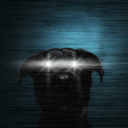 wickednesschaos avatar