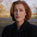 wifescully avatar