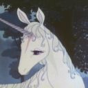 wigglymushroom avatar