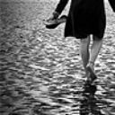 wild-violette avatar