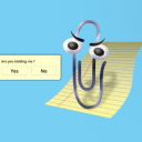 wildcactuskat avatar