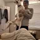 wildcatmythic avatar