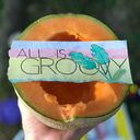 wildly-unpopular avatar