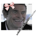 willemdaflutist avatar