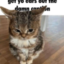 willow-schmillow avatar