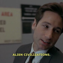 willowswaking avatar