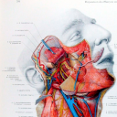 winchesterfield22 avatar