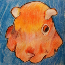 windmillwizard avatar