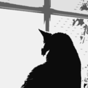 windowcat avatar