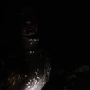 windows-to-heaven avatar