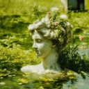 windowsofroses avatar