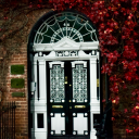 winfieldphotography avatar