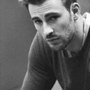 winged-shield avatar