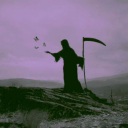 wingedfoolnearthesun avatar