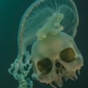 wingedjellyfishflight avatar