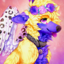 wingedmutt avatar