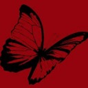 wingsofthanatos avatar