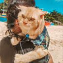 wintermelodia avatar