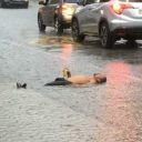 winters-chiid avatar