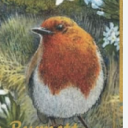 winters-on-the-wing avatar