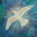 wisdomwings-blog avatar