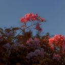 wish-i-had-a-cool-accent avatar