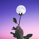 wishespromises avatar