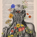 wishingcatharsis avatar