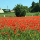 wishingonastar107 avatar