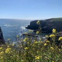 wishingtobehere avatar