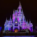 wishingupondisneystars-blog avatar