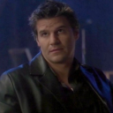 wishverse-angel avatar