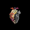 wisteriagroves avatar