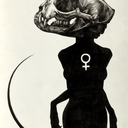 wisteriasnbloom avatar