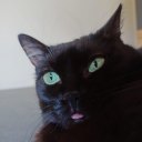 witchcraft-is-dead avatar